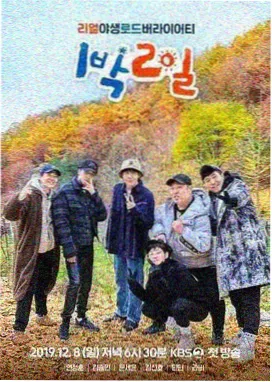 红叶诗会 综艺 2026